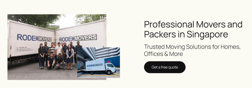 Rodex Movers Website Home Page Screenshot