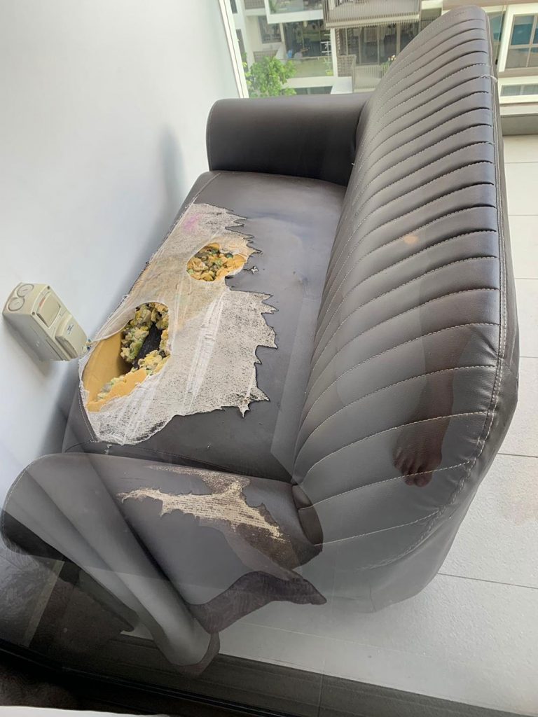 Furniture Disposal Service Old Furniture Disposal in Singapore